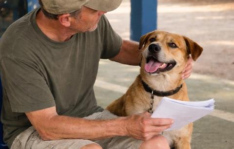 Prefeitura orienta sobre faltas registradas em mutirão de castração e reforça importância do compromisso dos tutores