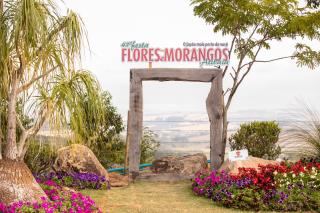 festa_flores_morango