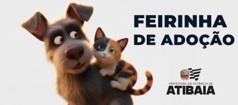 WhatsApp Image 2026-01-16 at 15.34.12