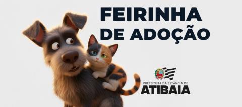 WhatsApp Image 2026-01-16 at 15.50.13