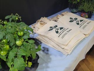 Prefeitura promove Semana do Meio Ambiente com foco na conscientização e sustentabilidade