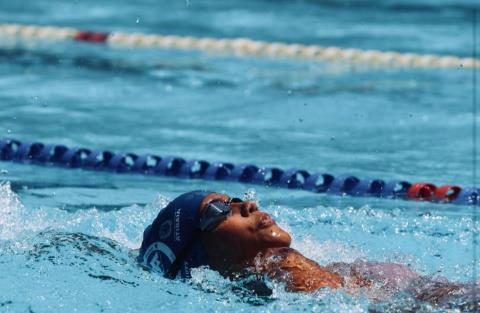 Equipes de natação de Atibaia atingem expressivos resultados em competições no último final de semana