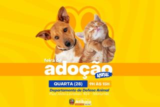 Prefeitura de Atibaia promove mais uma Feira de Adoção de Animais nesta quarta (28)