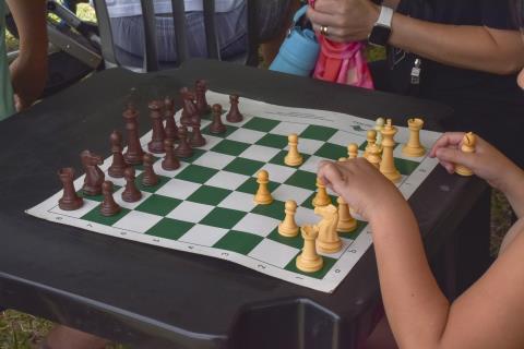 domingo_livre_janeiro_2026