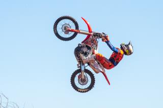 DSC_7513 (1)