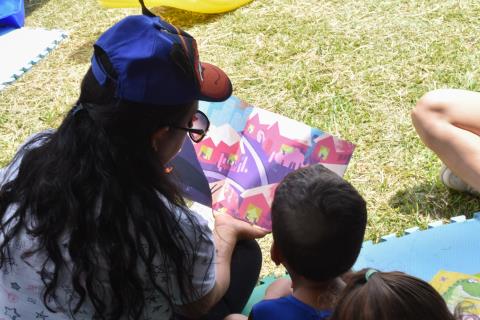 domingo_livre_janeiro_2026