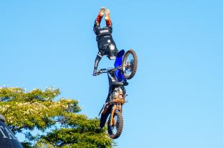 DSC_7484 (1)