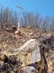 WhatsApp Image 2024-03-15 at 19.00.21