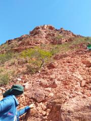 WhatsApp Image 2024-03-15 at 19.00.22 (1)