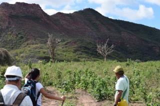 WhatsApp Image 2024-03-15 at 19.00.22 (4)