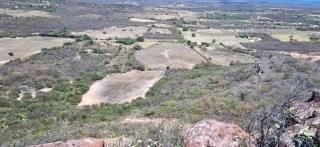 WhatsApp Image 2024-03-15 at 19.00.19