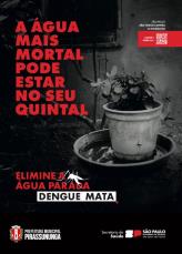 folder dengue