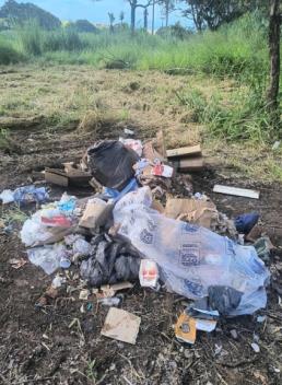 WhatsApp Image 2026-04-07 at 13.14.18