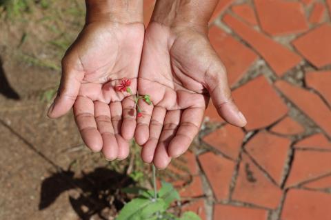 WhatsApp Image 2026-04-10 at 14.01.25 (1)