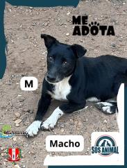 WhatsApp Image 2025-09-16 at 08.15.48 (1)