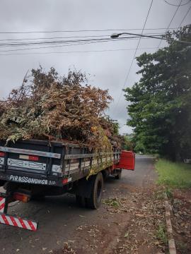 WhatsApp Image 2026-02-02 at 07.31.12