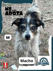 WhatsApp Image 2025-09-16 at 08.15.48