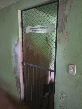 WhatsApp Image 2026-04-09 at 08.50.59 (1)