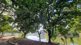 WhatsApp Image 2025-07-15 at 10.39.43