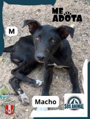 WhatsApp Image 2025-09-16 at 08.15.49