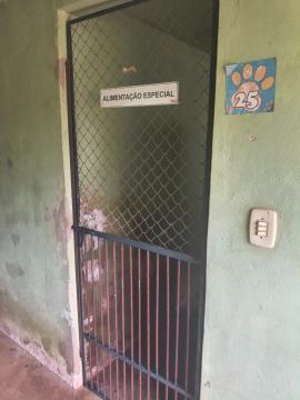 WhatsApp Image 2026-04-09 at 08.50.59 (3)