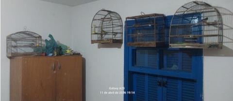 WhatsApp Image 2026-04-15 at 10.10.15 (1)