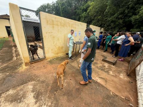 WhatsApp Image 2025-10-30 at 10.16.32