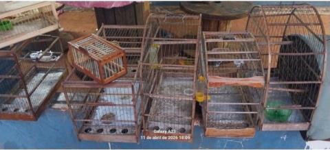 WhatsApp Image 2026-04-15 at 10.10.15 (2)