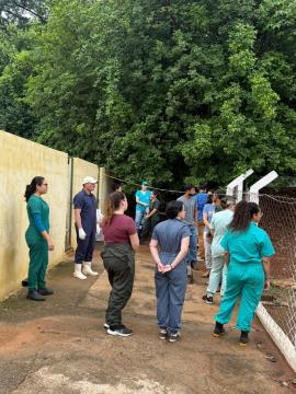 WhatsApp Image 2025-10-30 at 10.16.33