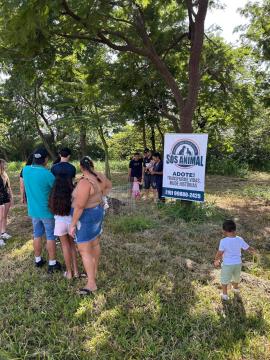 WhatsApp Image 2026-03-24 at 15.36.36