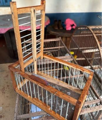 WhatsApp Image 2026-04-15 at 10.10.15