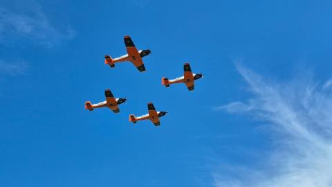 8075498d-a54c-48a5-865a-c8bf5b45768b