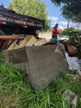 WhatsApp Image 2026-02-02 at 07.31.16