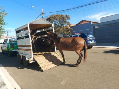 WhatsApp Image 2026-04-16 at 11.46.43