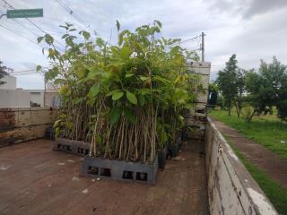 WhatsApp Image 2025-02-06 at 10.44.09