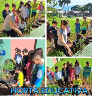 Centro Educaional - Projeto selecionado pelo MEC (6)