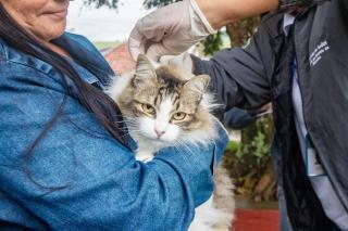 Vacina antirabica001