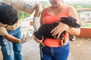 vacininha amtirabica