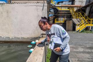 Combate a Dengue