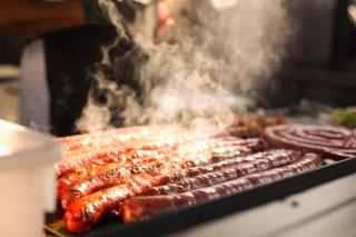 foto festival de inverno2