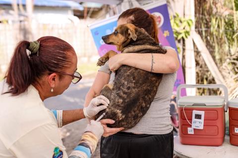 Prefeitura de Guararema segue com vacinação antirrábica itinerante em março - Guararema - Credito fotos Warley Kenji - Comunicação PMG (5)
