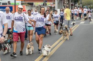 CãoMinhada de Guararema (1)