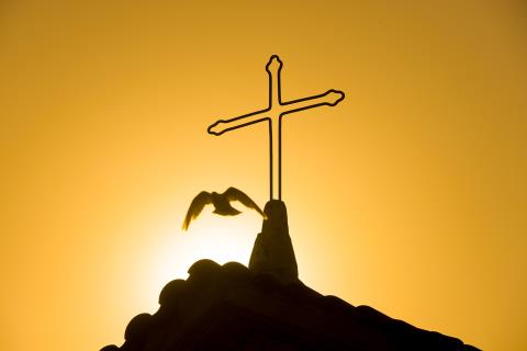 Prefeitura de Guararema abre inscrições para nova edição do City Tour para moradores - Guararema - Crédito foto Warley Kenji - Comunicação PMG (1)