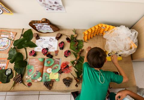 A União Faz a Vida03