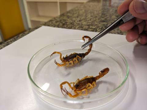 WhatsApp Image 2025-12-08 at 12.46.07