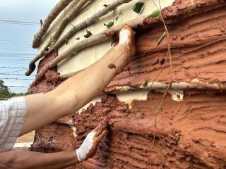 WhatsApp Image 2025-06-26 at 11.12.30 (3)