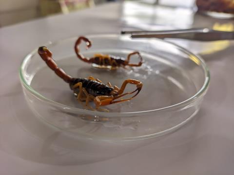 WhatsApp Image 2025-12-08 at 12.44.36