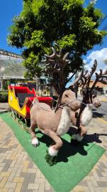 WhatsApp Image 2025-12-23 at 10.49.33 (1)