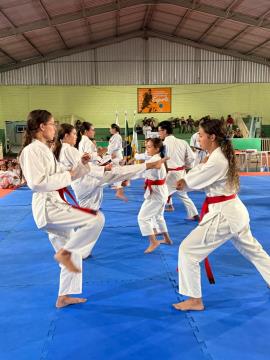 WhatsApp Image 2025-12-23 at 12.00.00