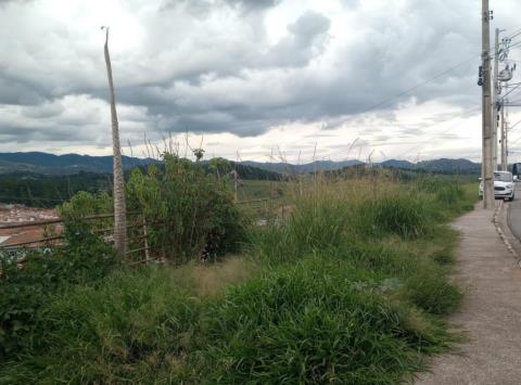 WhatsApp Image 2026-01-19 at 09.51.52 (1)